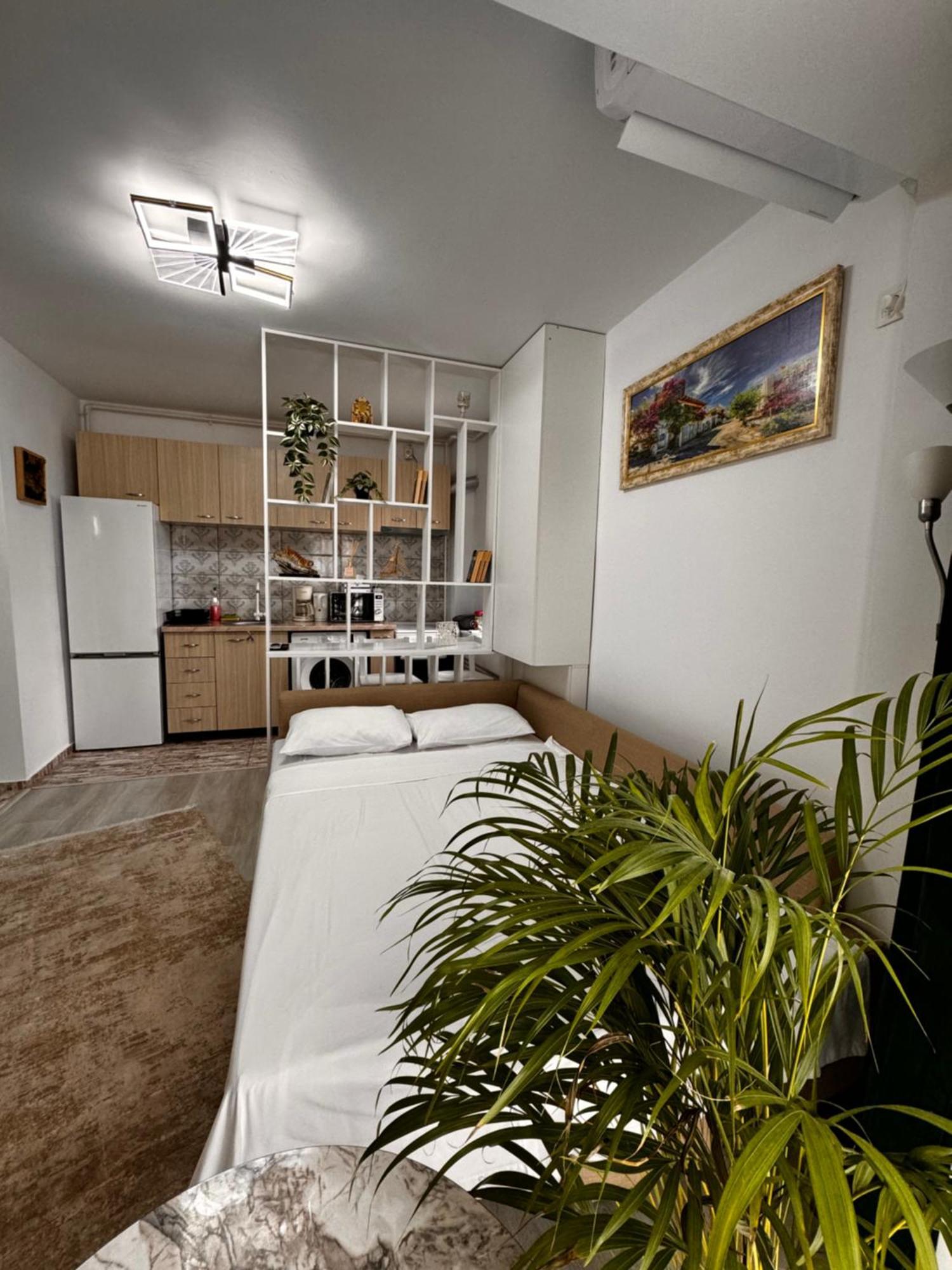 Marului Residence Bukarest Kültér fotó